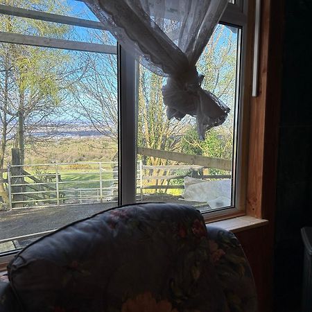 Cozy Room In A Barn With Farm View 더블린 외부 사진